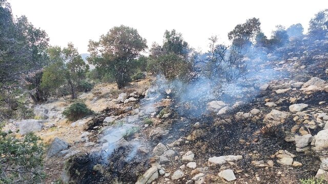 مهار شعله‌های آتش در منطقه گردشگری سرگچینه بویراحمد